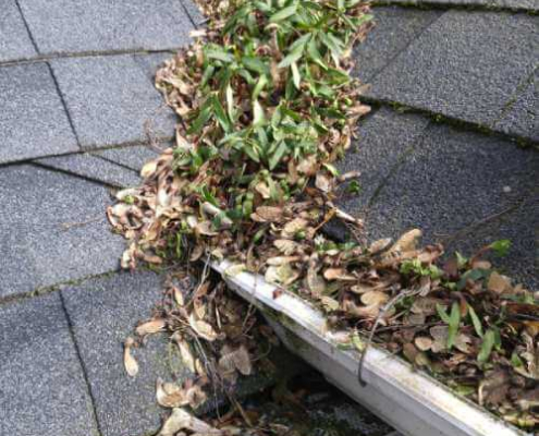 a valley on a roof full of debris with no where to flow as there is a gutter cover system blocking the gutters