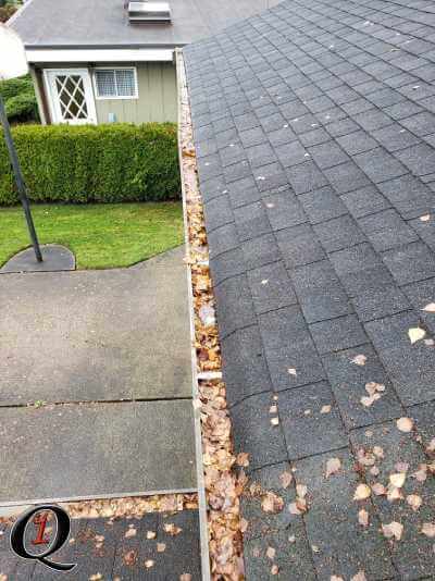 Gutters full of leaves in Coquitlam