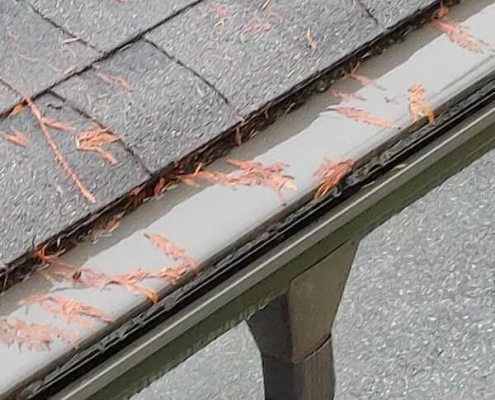 leaf guard gutter system not functioning as it is packed with debris and leaves are collecting on top of gutter system