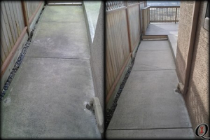 concrete walkway and stairs covered in algae before and after power washing