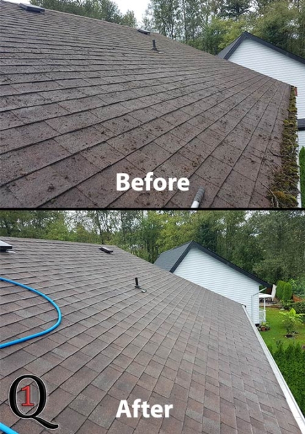 moss and debris collecting on roof before and after roof scrubbed, gutters cleaned and roof spray treatment applied