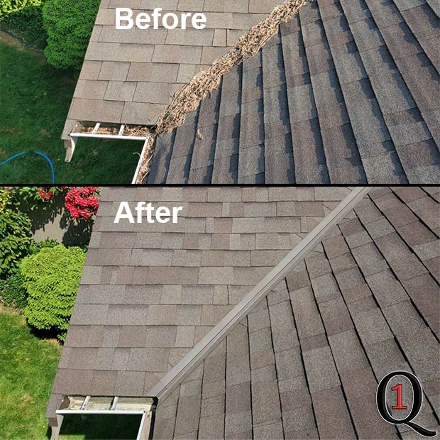 gutter cleaning service new west