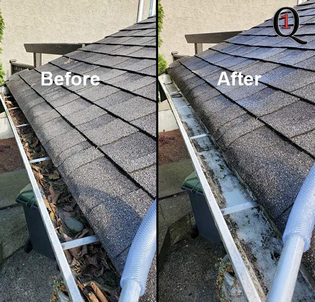 gutters in Pitt Meadows with lots of debris and leaves in them before and after removal