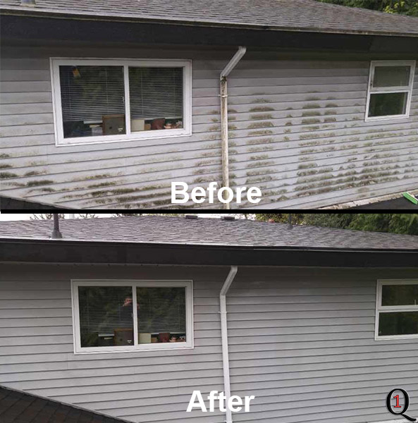 Vinyl siding in Delta, BC soft washed