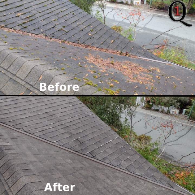 moss removal and spray treatment in Delta, BC