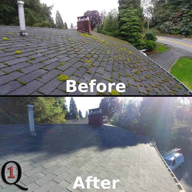 White Rock moss removal and roof spray treatment applied