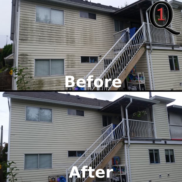 Vinyl siding soft washed in White Rock, BC