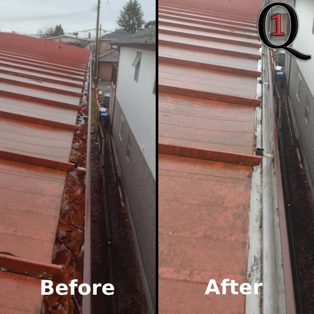 New Westminster Gutter Cleaning Quality One Home Services