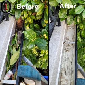 gutters in White Rock, BC full of leaves and debris