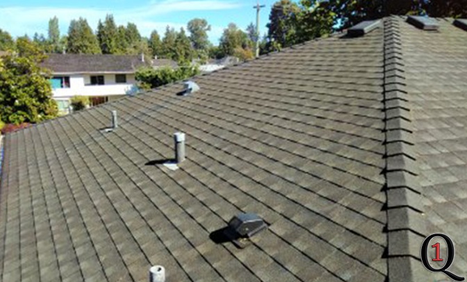 Coquitlam moss removal after