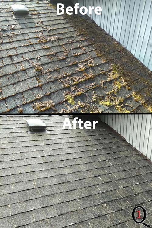 Surrey Roof Cleaning