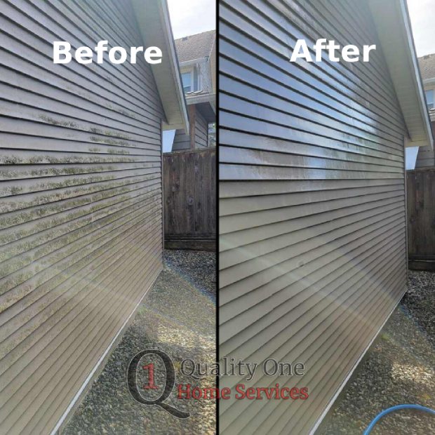 Vinyl siding in Coquitlam Soft Washed before and after