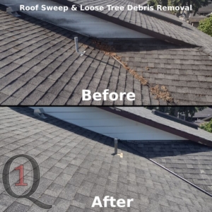 Loose tree debris removed from a roof in Burnaby, BC