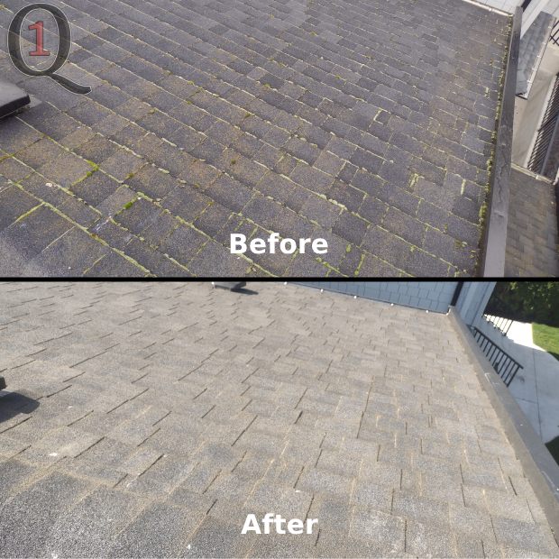 Burnaby Roof Cleaning