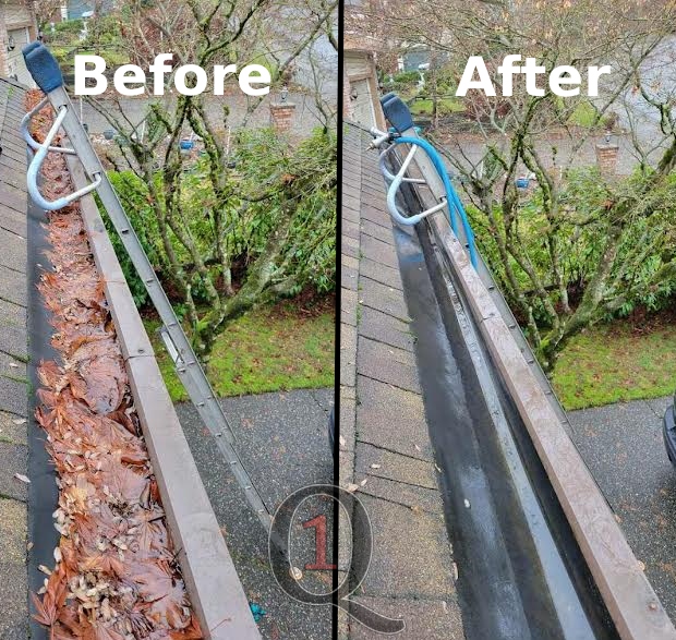 hidden gutter cleaning coquitlam