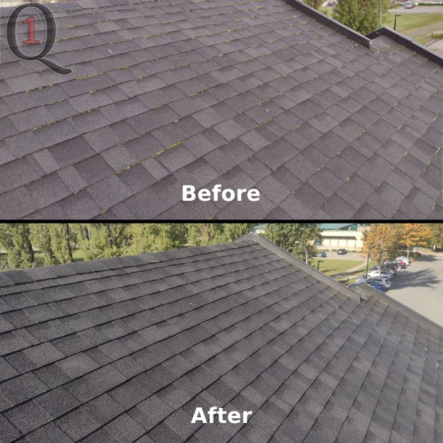 Moss removal in Burnaby, BC