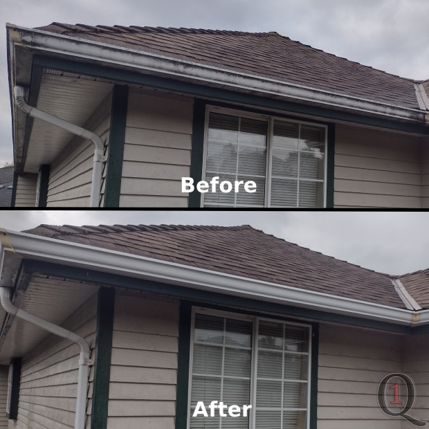 Gutter facing soft washed before and after in Port Coquitlam