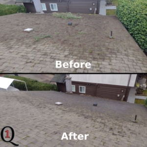 tree branches and leaves on the roof removed in Coquitlam, BC