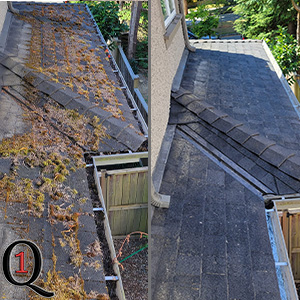 Moss Removed and Sprayed
