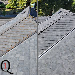 Moss removed from a New West Roof