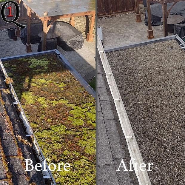 coquitlam moss removal 2025