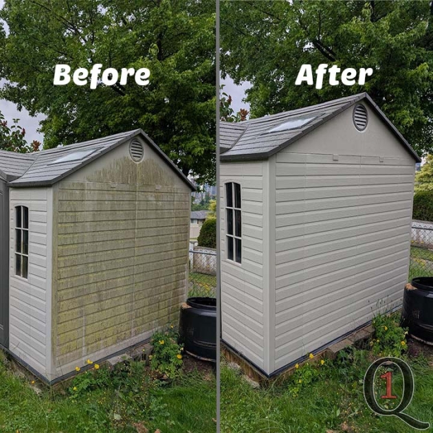 algae covered vinyl siding soft washed in Burnaby, BC