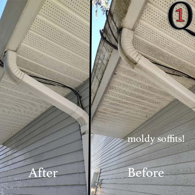 Mold Growth on soffits before and after soft washing