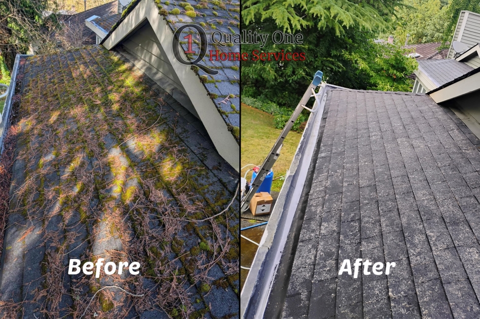 tsawwassen moss removal
